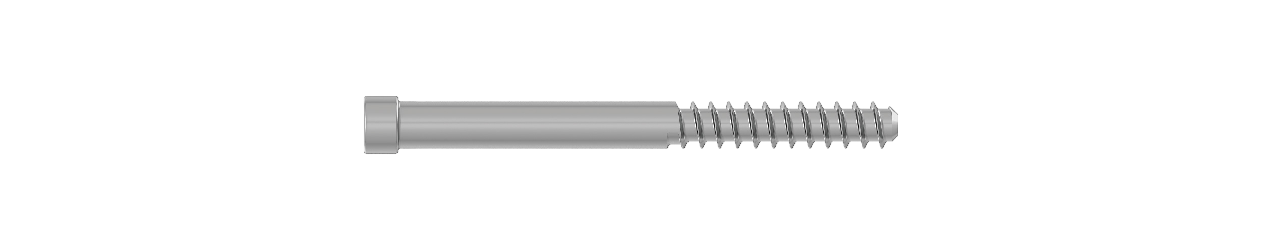 Anti-Rotation Screw