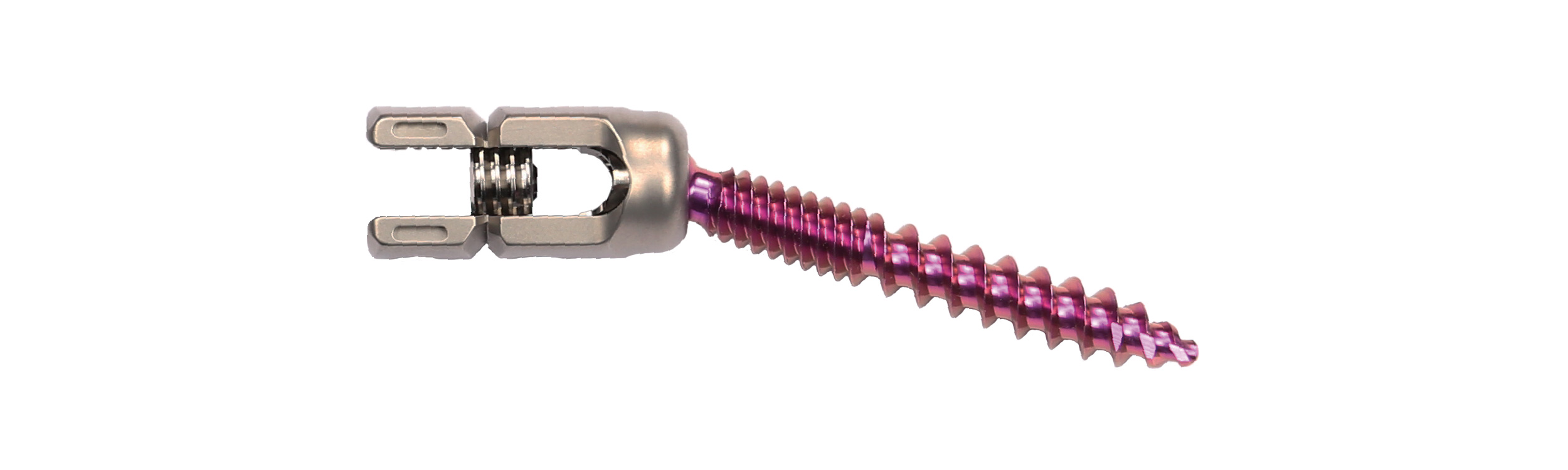 Cemfix 6.0 Spinal Fixation System