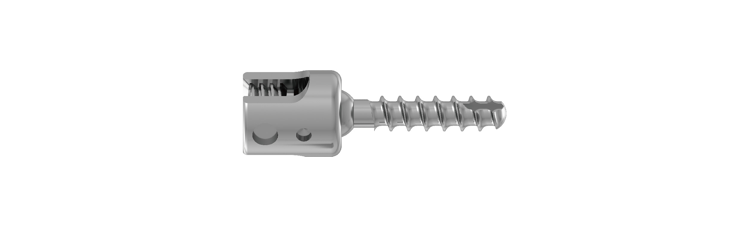 Cervi-Anchor Posterior Cervical Fixation System