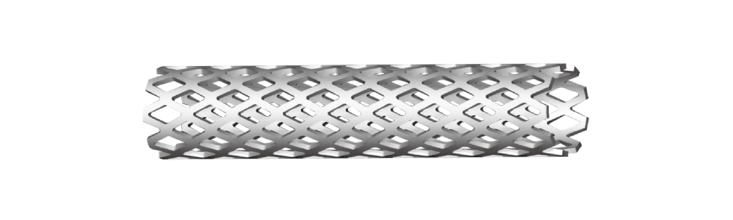 Titanium Cervicore Mesh & Cage Cover System