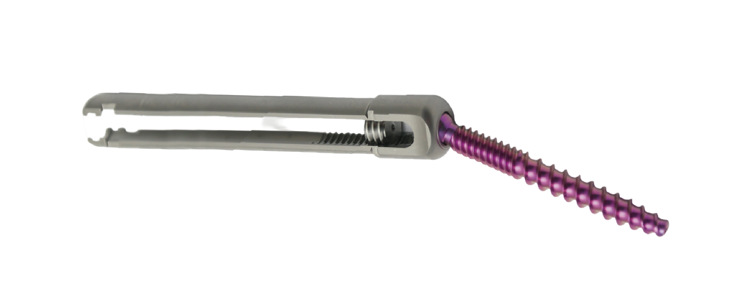 U Multiaxial Pedicle Screw